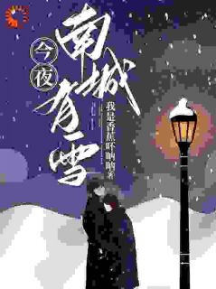 《今夜南城有雪》小说全文在线阅读 《今夜南城有雪》最新章节目录