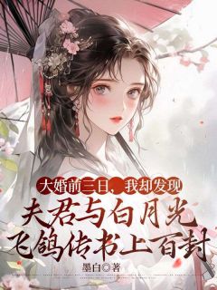 《大婚前三日，我却发现夫君与白月光飞鸽传书上百封》小说阅读 段玉山白琳琅小说