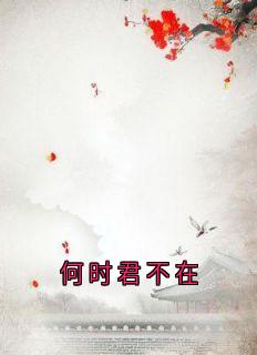 《何时君不在》小说全文精彩阅读 《何时君不在》最新章节列表