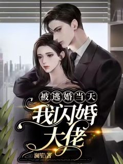 司意眠季璟淮小说 《被逃婚当天，我闪婚大佬》小说全文精彩试读