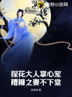 小说《探花大人掌心宠，糟糠之妻不下堂》凌月林晚全文免费阅读