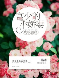 《虎嗅蔷薇：宫少的小娇妻》(简瑶宫尚)小说阅读by临寒