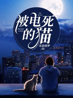 《被电死的猫》小说章节精彩试读 徐艳荣张名硕小说全文