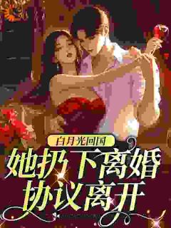 《白月光回国，她扔下离婚协议离开》小说章节目录免费阅读 张雅芳斯南黎辛小说阅读