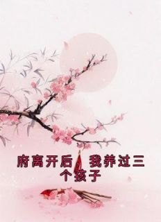 《府离开后，我养过三个孩子》沈若竹宁芙赵淮全本在线阅读