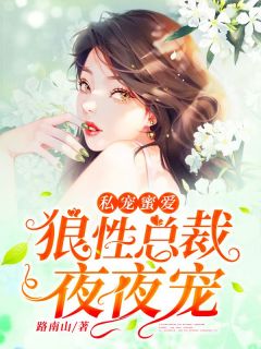 《私宠蜜爱：狼性总裁，夜夜宠》小说章节精彩试读 沈笑秦北城小说阅读